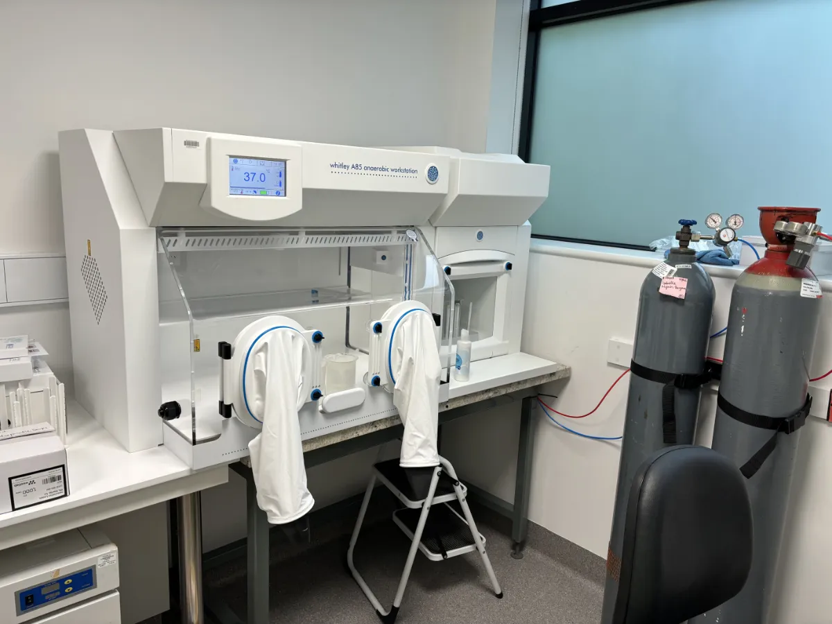 anaerobic chambers