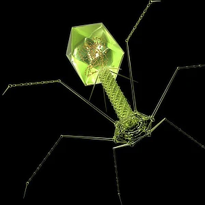 Outreach article images