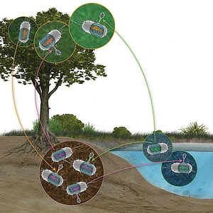 Outreach article images